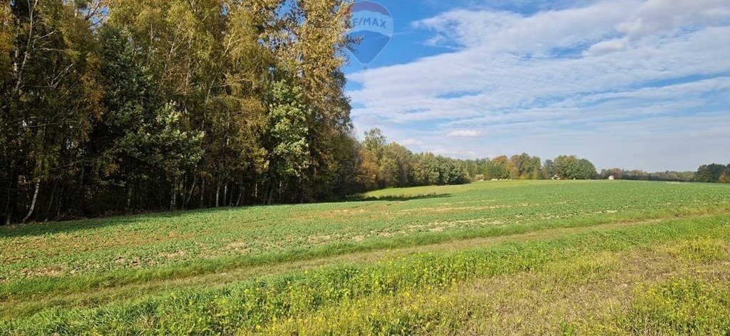 Działka rolna na sprzedaż Kończyce Wielkie, Długa  3 439m2 Foto 1