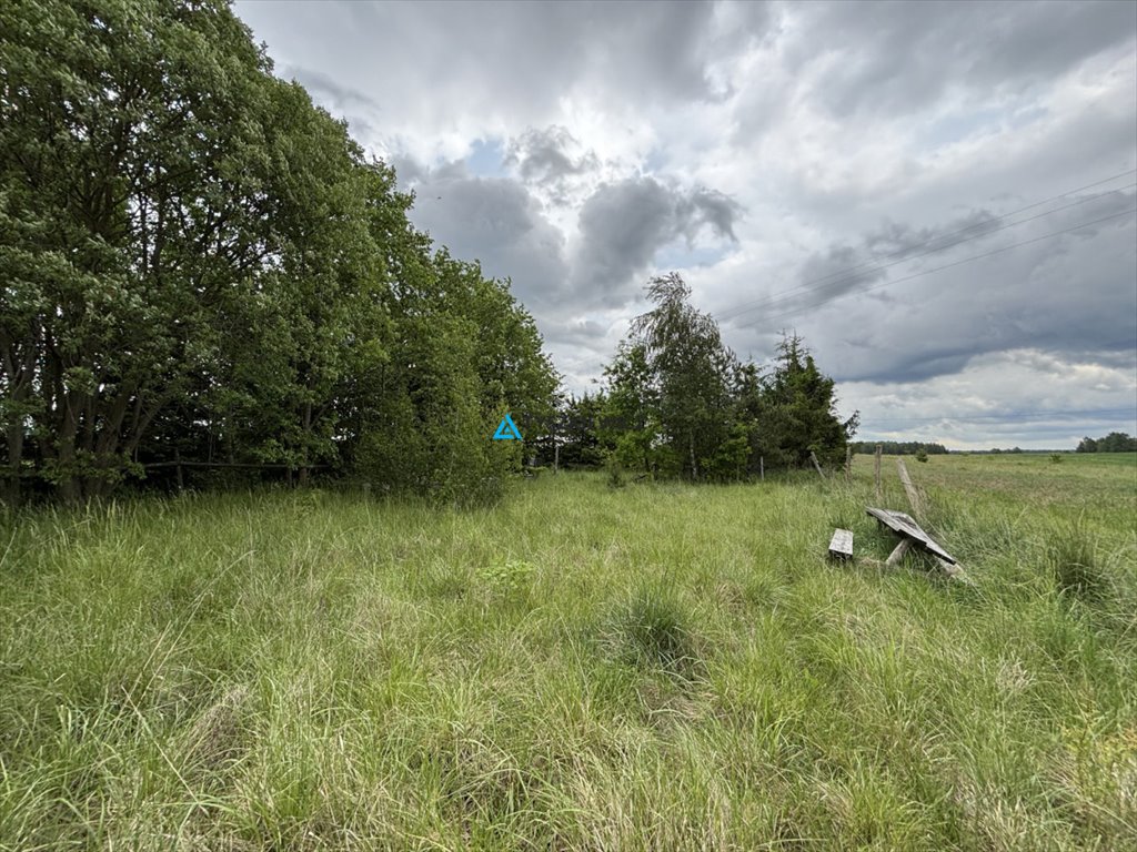 Działka 4300 m² z warunkami zabudowy w Osowo Leśne Osowo Leśne  4 300m2 Foto 1