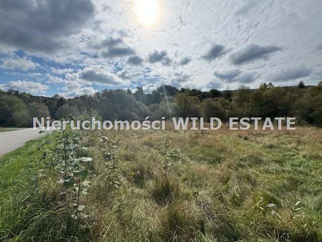 Działka budowlana z warunkami zabudowy, potok, media Olszanica, Paszowa  2 593m2 Foto 1