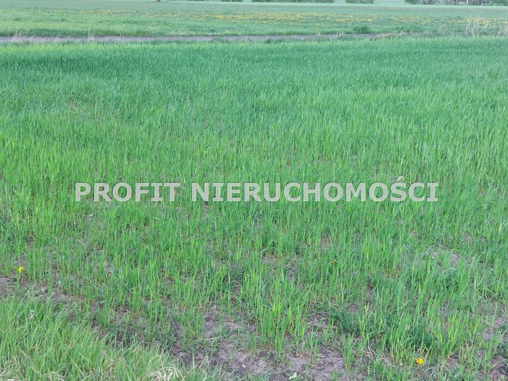 Działka budowlana na sprzedaż Lutomiersk  10 597m2 Foto 1