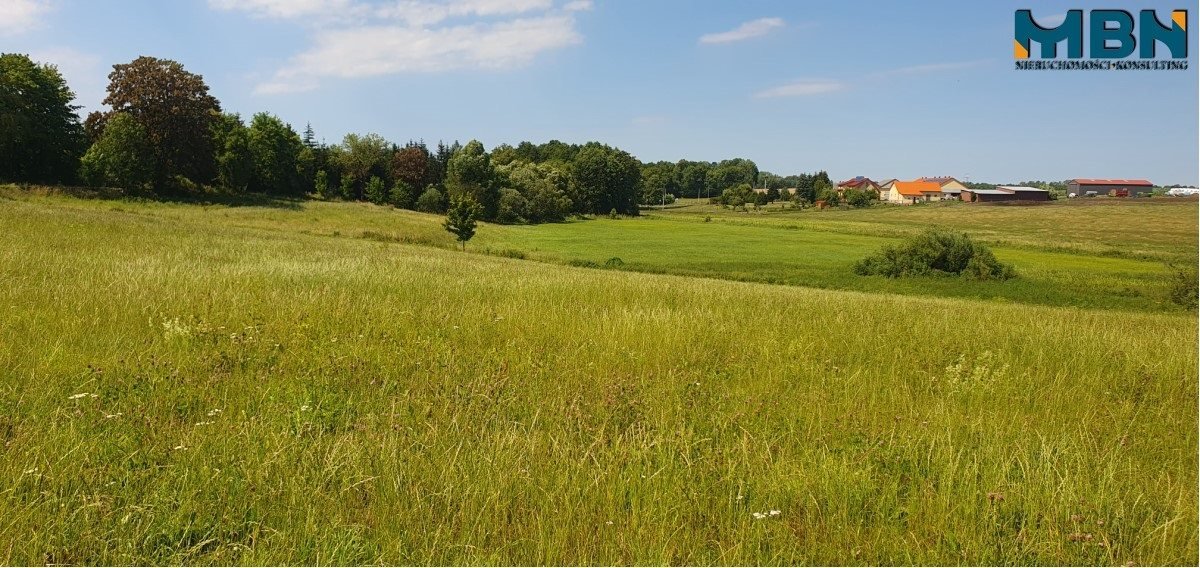 Działka rolna na sprzedaż Stręgielek, Stręgielek  3 054m2 Foto 14