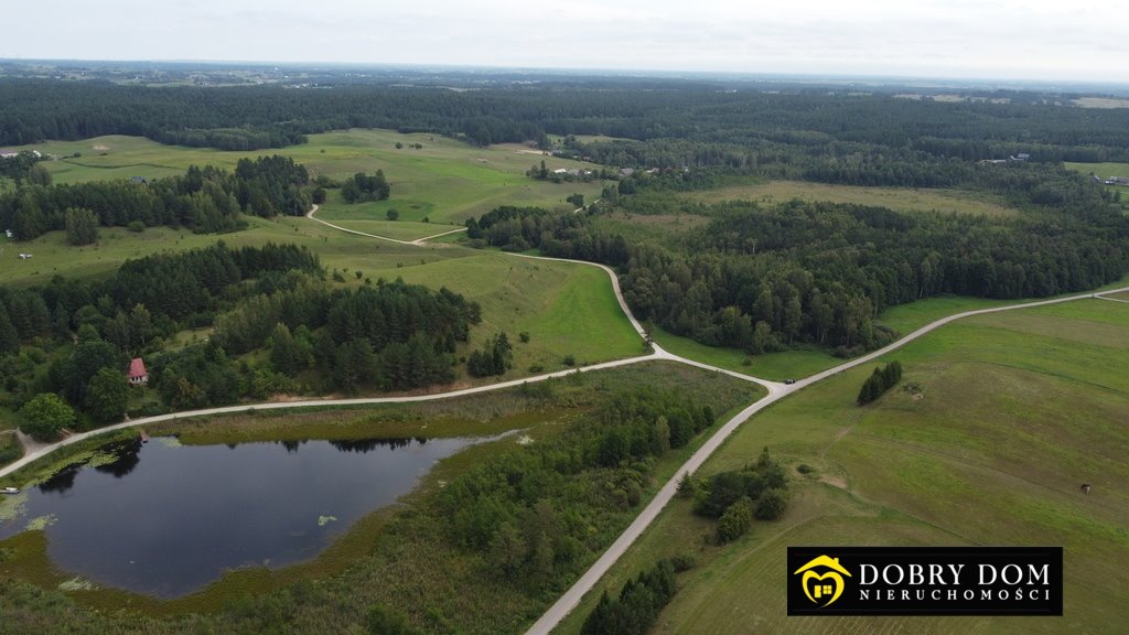 Działka leśna na sprzedaż Osinki  5 585m2 Foto 6