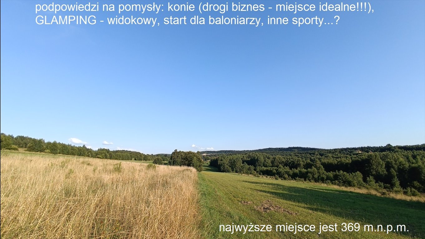 Działka siedliskowa na sprzedaż Czerwona Górka  27 100m2 Foto 5