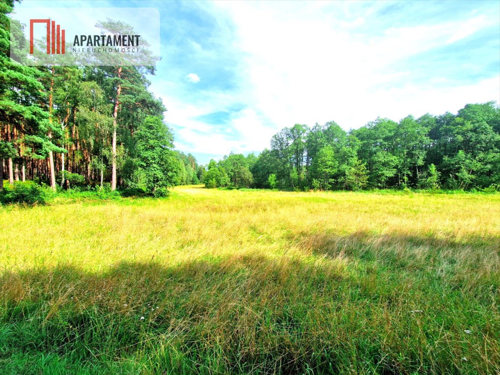 Działka rolna 3100 m² w sercu Borów Tucholskich Biała  3 100m2 Foto 1