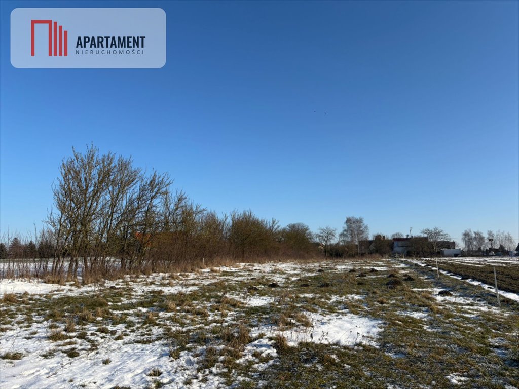 Działka 3618 m2 Kruszki – spokojna okolica, asfalt dojazd Kruszki  3 618m2 Foto 1