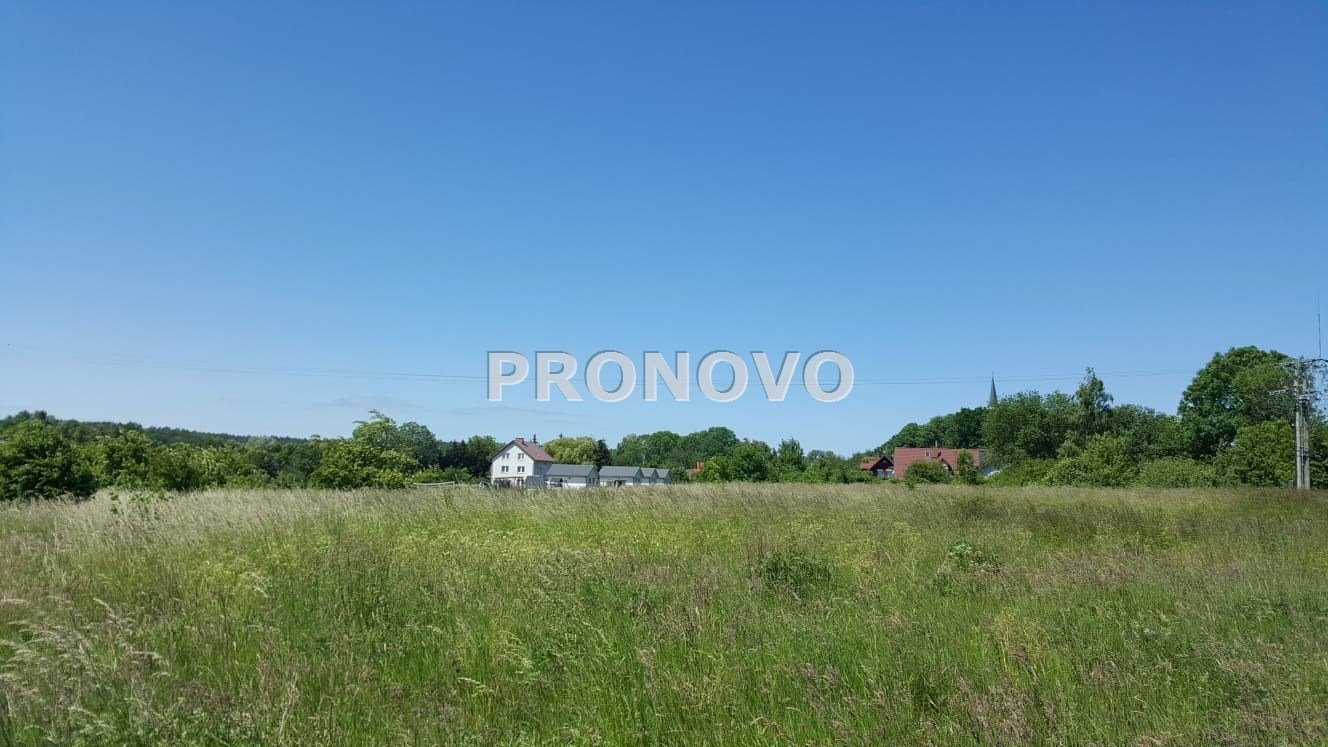Polecam działkę 3007 m² z warunkami zabudowy, prąd, jeziora Kołczewo  1 000m2 Foto 1