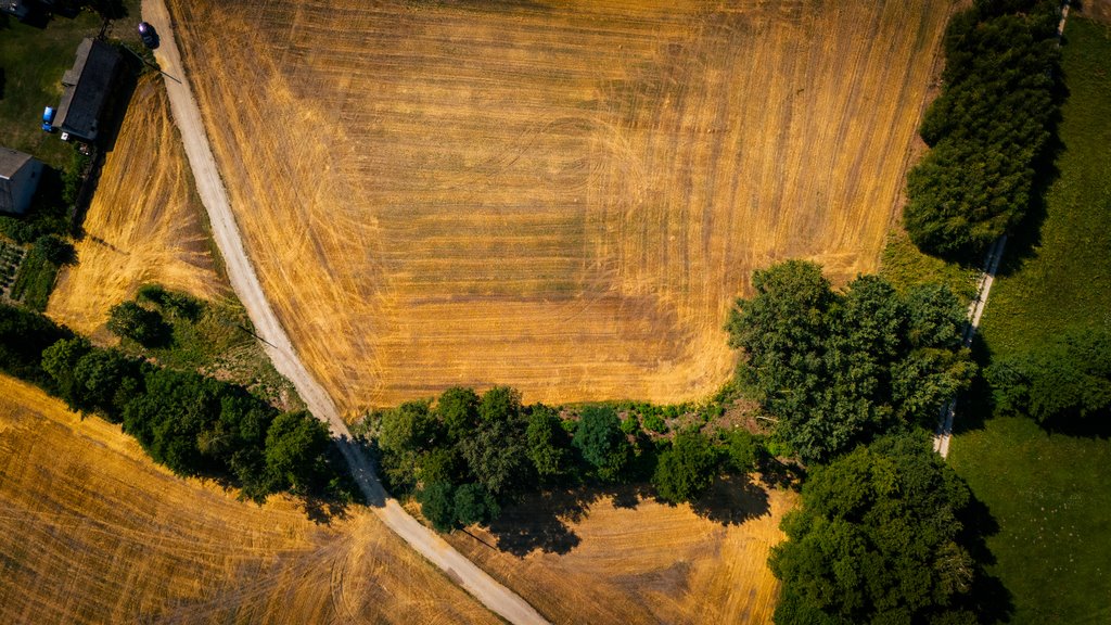 Działka budowlana na sprzedaż Adamów  1 255m2 Foto 8