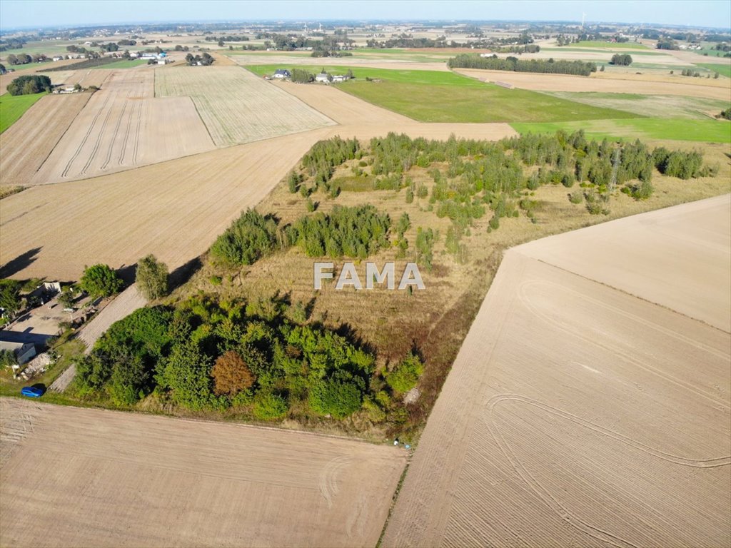 Działka rolna na sprzedaż Nowiny  50 829m2 Foto 4