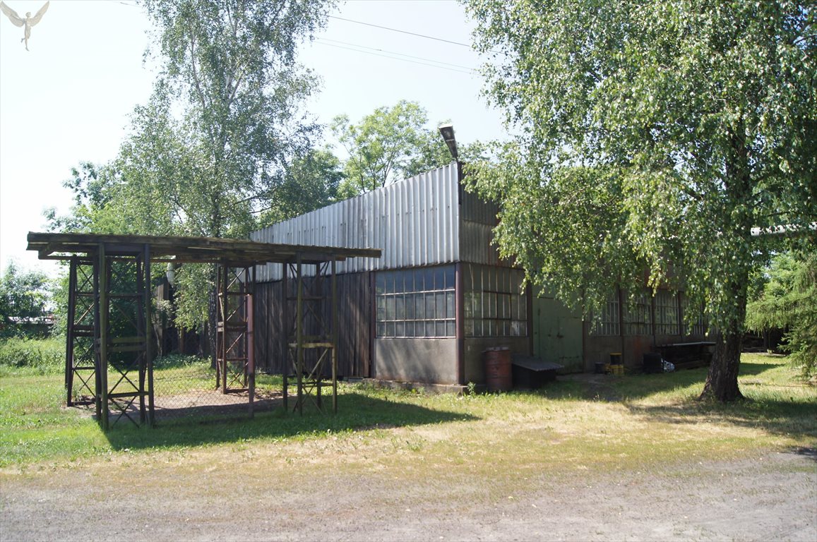 Dom i zakład produkcyjny na dużej działce (11293 m²) Witkowo  930m2 Foto 1