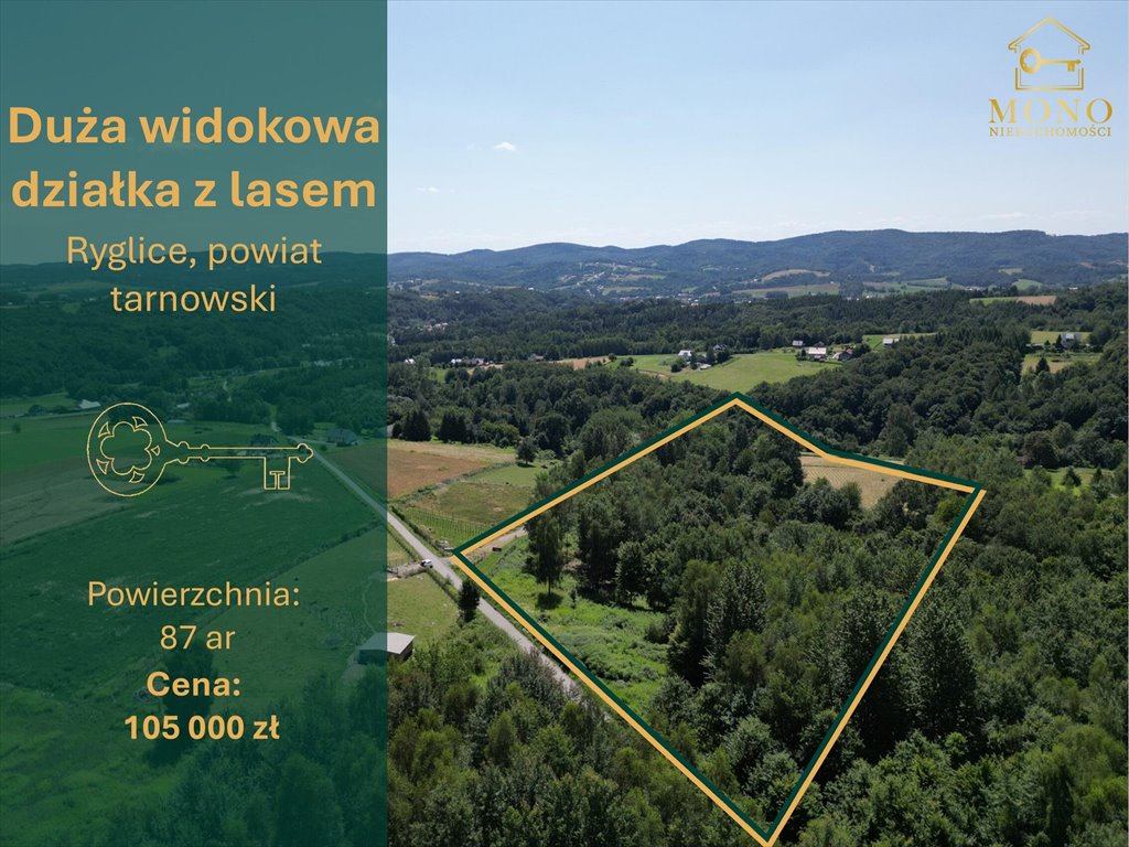 Malownicza działka 8,7 tys. m² z warunkami zabudowy polecam Ryglice  8 700m2 Foto 1
