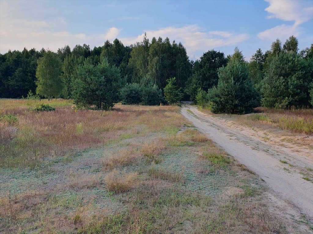 Działka rolna na sprzedaż Medynia Głogowska  2 800m2 Foto 7