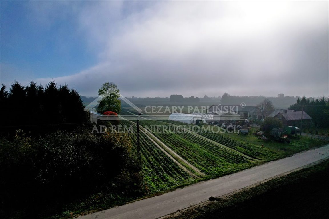 Działka budowlana na sprzedaż Zezulin Niższy, Zezulin  10 017m2 Foto 7