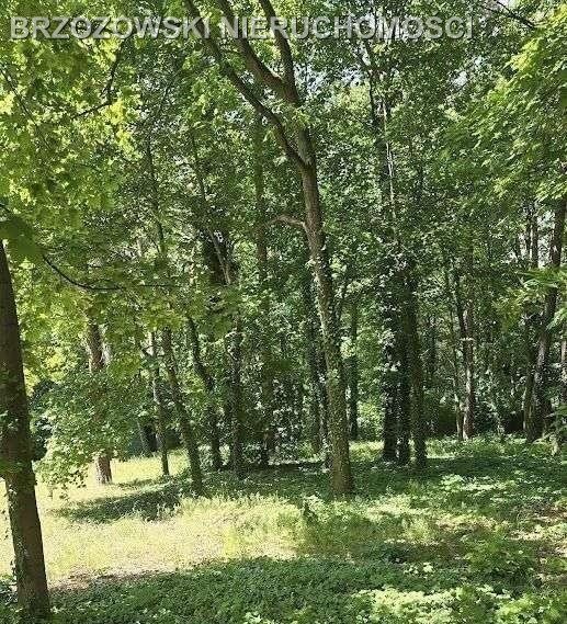 Działka budowlana na sprzedaż Podkowa Leśna  2 182m2 Foto 2