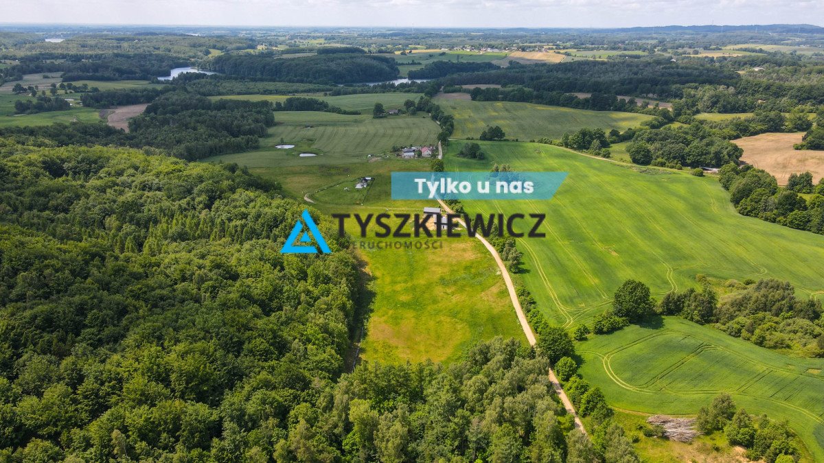 Działka 1,81 ha pod dom i rekreację, las, jezioro Trzepowo, Witosławy  18 126m2 Foto 1