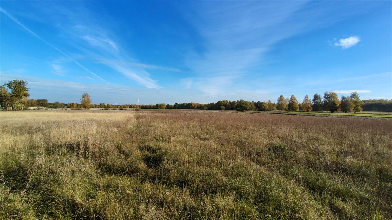 Działka budowlana na sprzedaż Nowa Wieś, Nowa Wieś  1 000m2 Foto 4