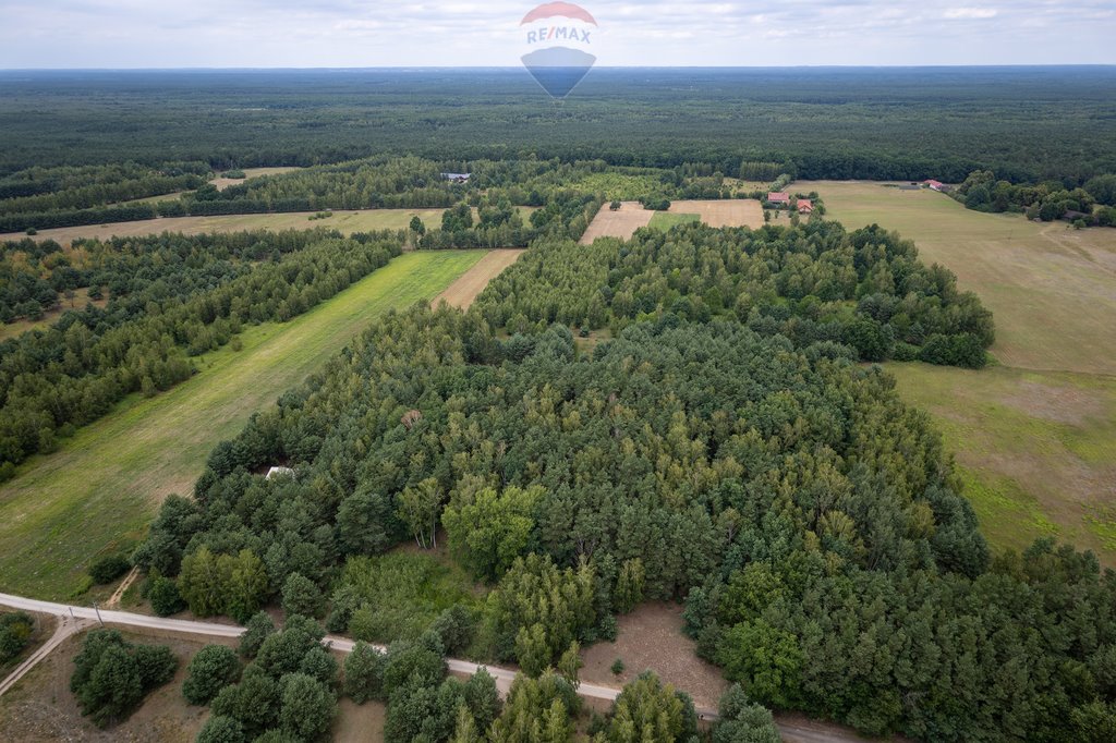 Działka budowlana na sprzedaż Powązki, Przytulna  21 100m2 Foto 6