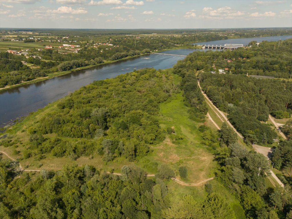 Działka leśna na sprzedaż Poddębie, Brzozowa  1 353m2 Foto 6