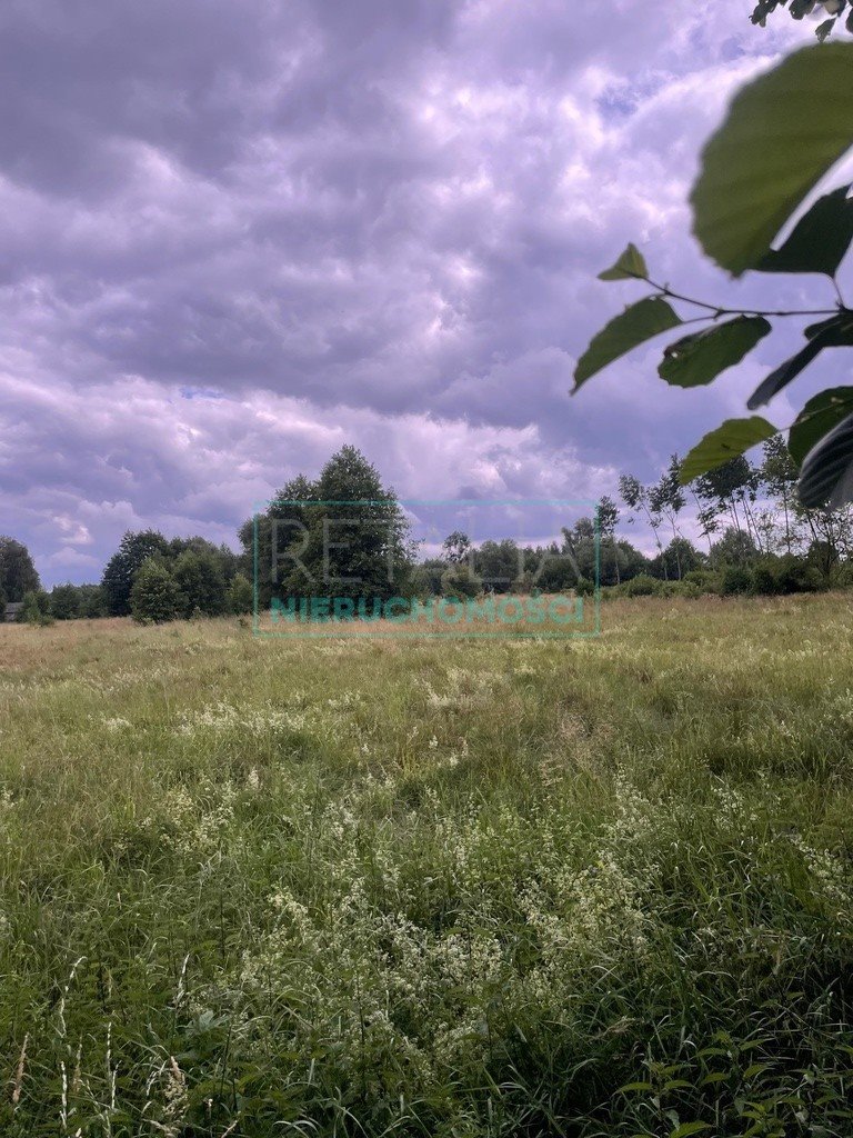 Działka budowlana na sprzedaż Franciszków  3 000m2 Foto 15