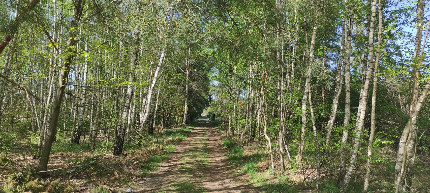 Działka budowlana na sprzedaż Łomianki, al. Miła  1 000m2 Foto 3