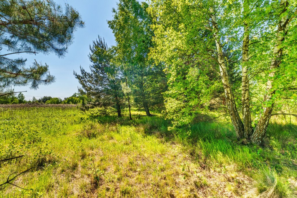 Działka budowlana na sprzedaż Majdan  3 000m2 Foto 16