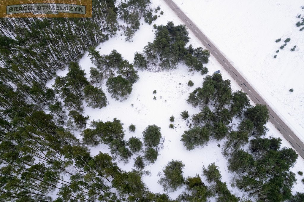 Działka rolna na sprzedaż Krubin  1 800m2 Foto 14