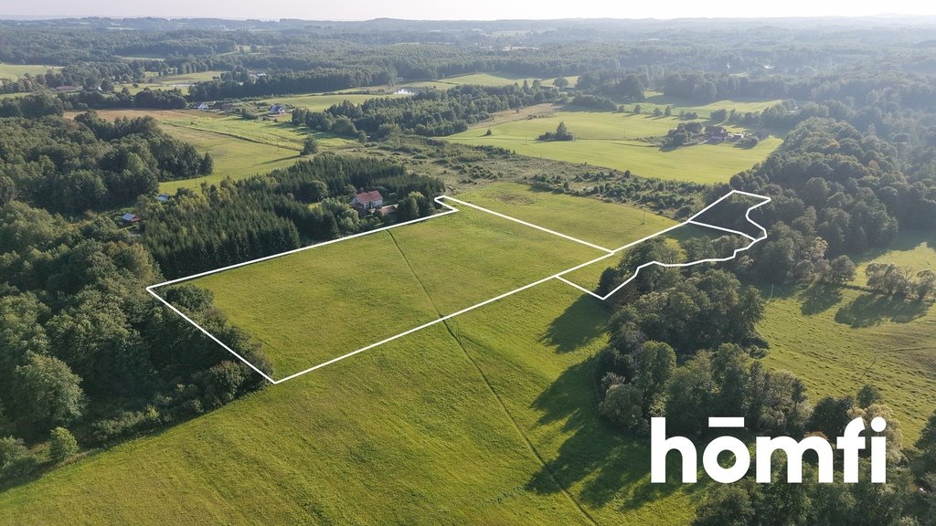 Duża działka rolna 2,61 ha z lasem i potencjałem inwestycyjnym. Zaścianki  26 100m2 Foto 1