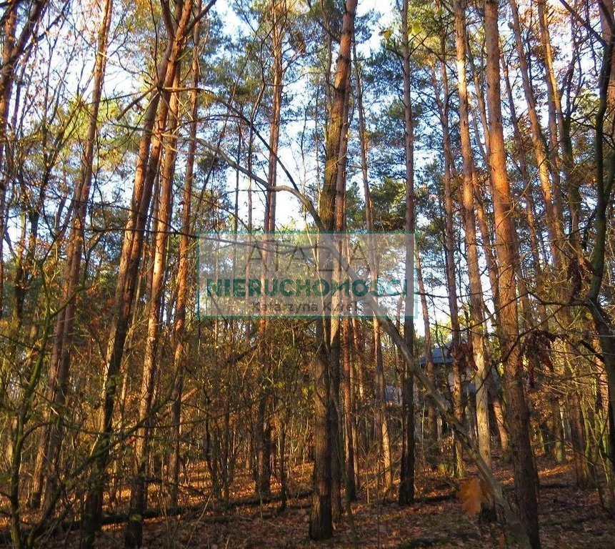Działka 2100 m² pod zabudowę w Sękocin-Las z lasem polecam Sękocin-Las  2 100m2 Foto 1