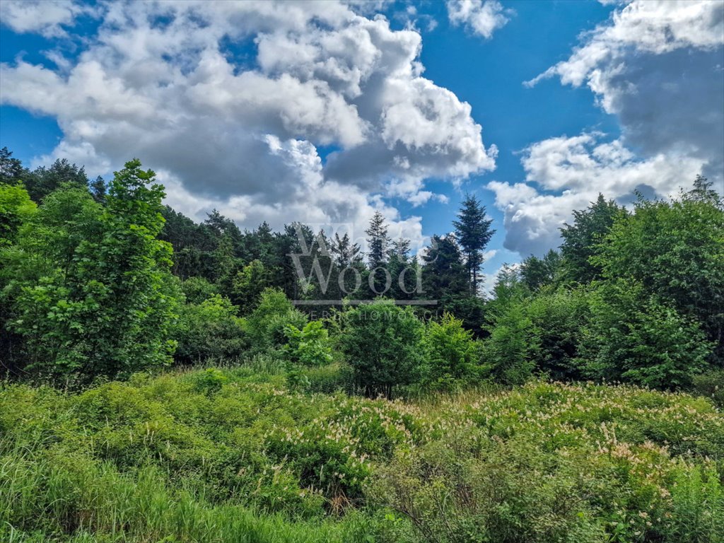 Działka budowlana na sprzedaż Bojano, Józefa Wybickiego  1 206m2 Foto 5