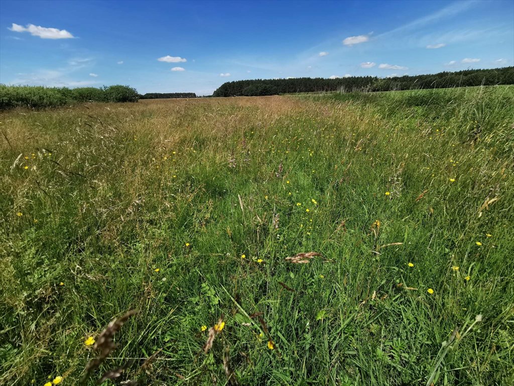 Działka rolna na sprzedaż Kleszczyna  27 800m2 Foto 13