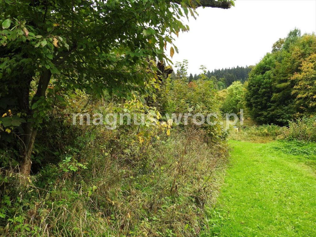 Działka budowlana na sprzedaż Łomnica  2 985m2 Foto 1