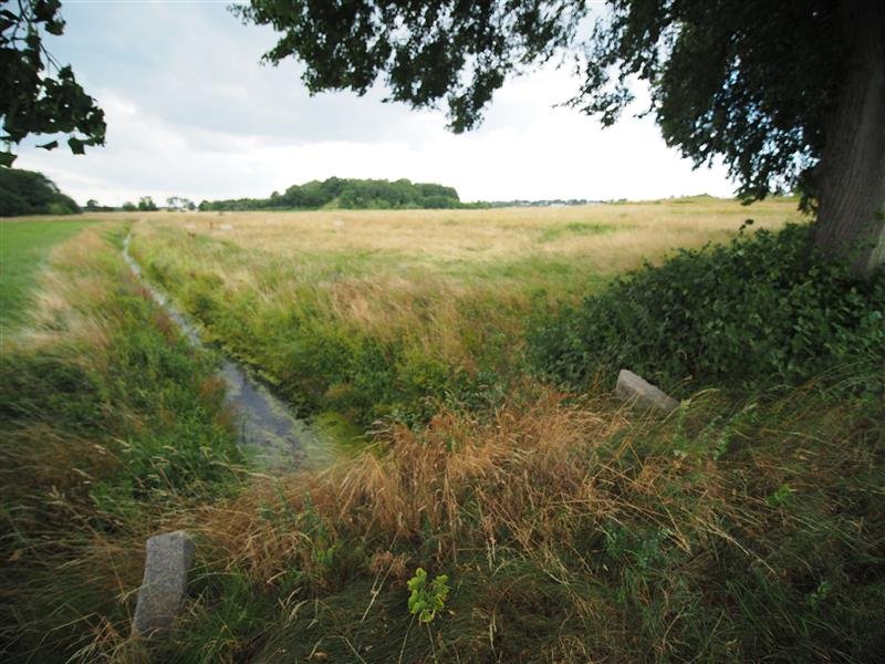 Działka inna na sprzedaż Rusinowo, 1101G  3 000m2 Foto 7