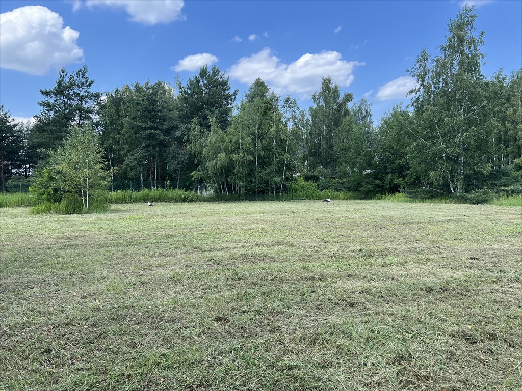 Działka budowlana na sprzedaż Kierszek, Prawdziwka  3 000m2 Foto 14