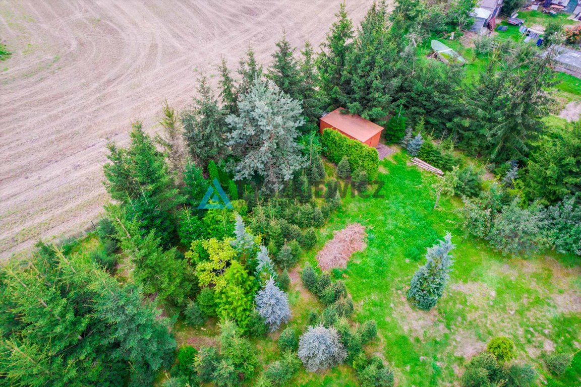 Działka budowlana na sprzedaż Włościbórz  3 000m2 Foto 11