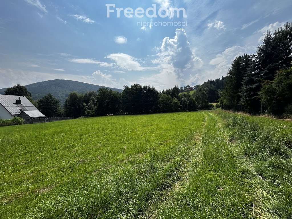 Działka budowlana na sprzedaż Targanice, Olchowa  800m2 Foto 4