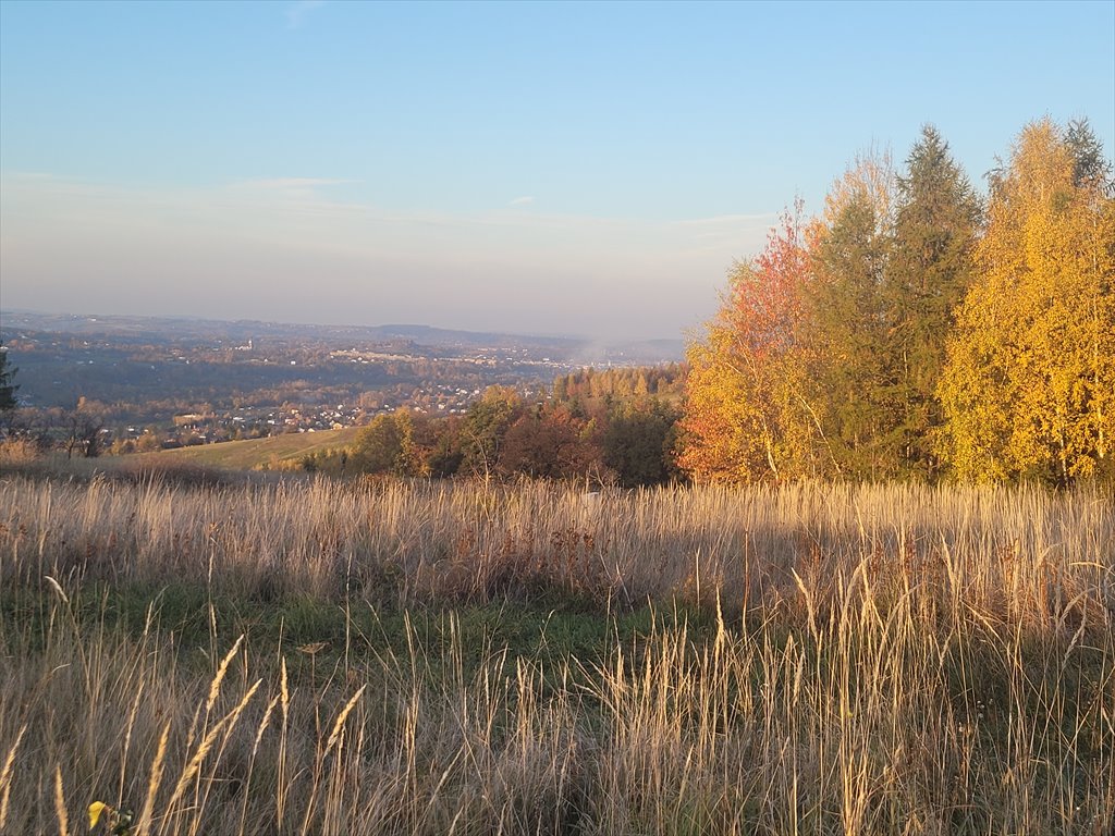 Działka rekreacyjna na sprzedaż Szymbark  3 000m2 Foto 5