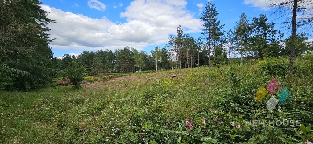 Działka budowlana na sprzedaż Dąbrówka Wielka  8 344m2 Foto 7