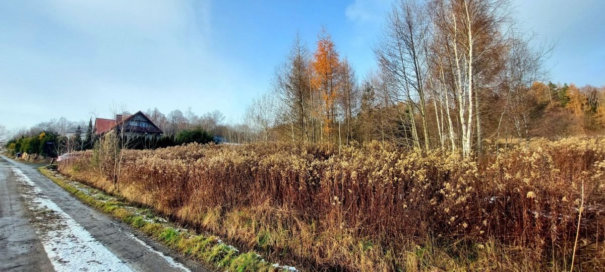 Działka budowlana na sprzedaż Wojcieszyce  1 482m2 Foto 7