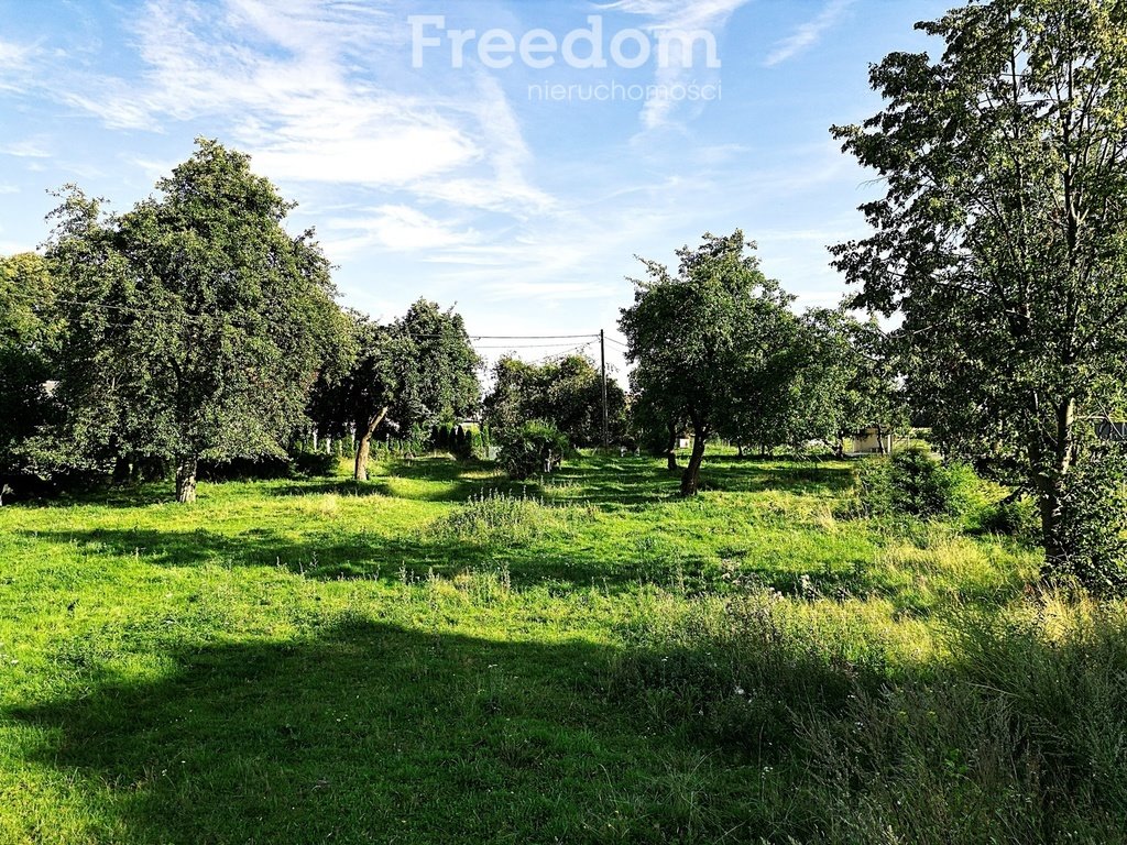 Polecam działkę 2500 m² z warunkami zabudowy i sadem Urowo  2 500m2 Foto 1