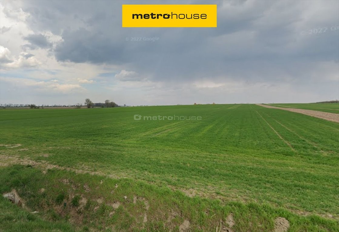 Działka inwestycyjna 4 ha z WZ pod domy jednorodzinne Kobylniki  39 969m2 Foto 1