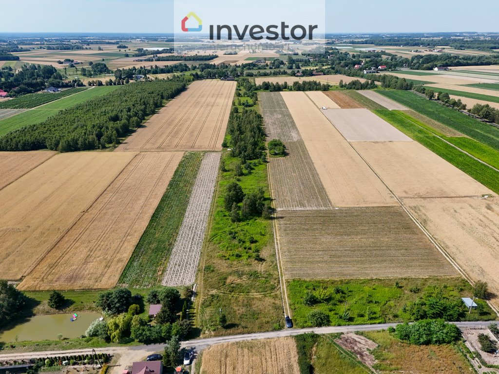 Działka inna na sprzedaż Kamienica  1 000m2 Foto 6