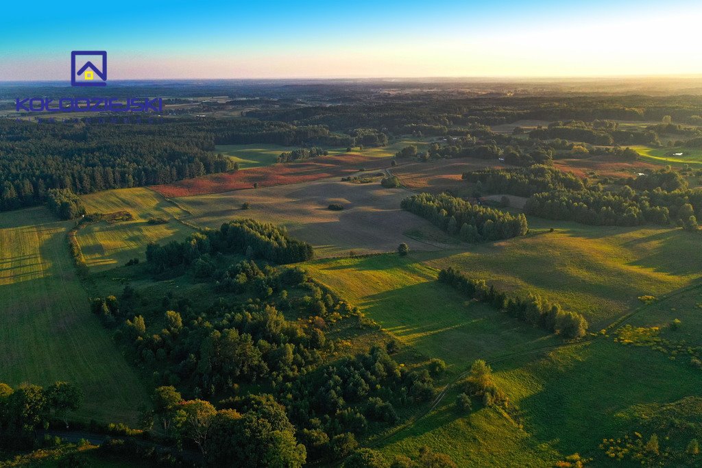 Działka rolna na sprzedaż Pupki  3 009m2 Foto 4