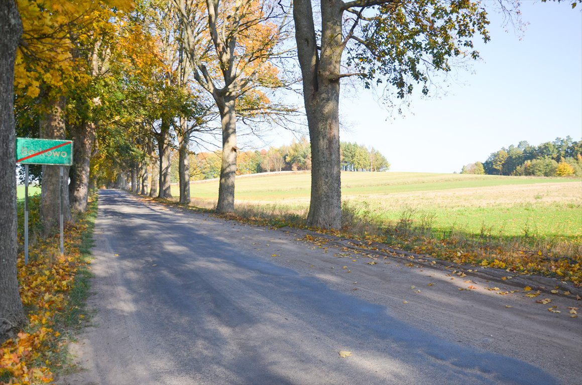 Działka siedliskowa na sprzedaż Borkowo  3 000m2 Foto 14