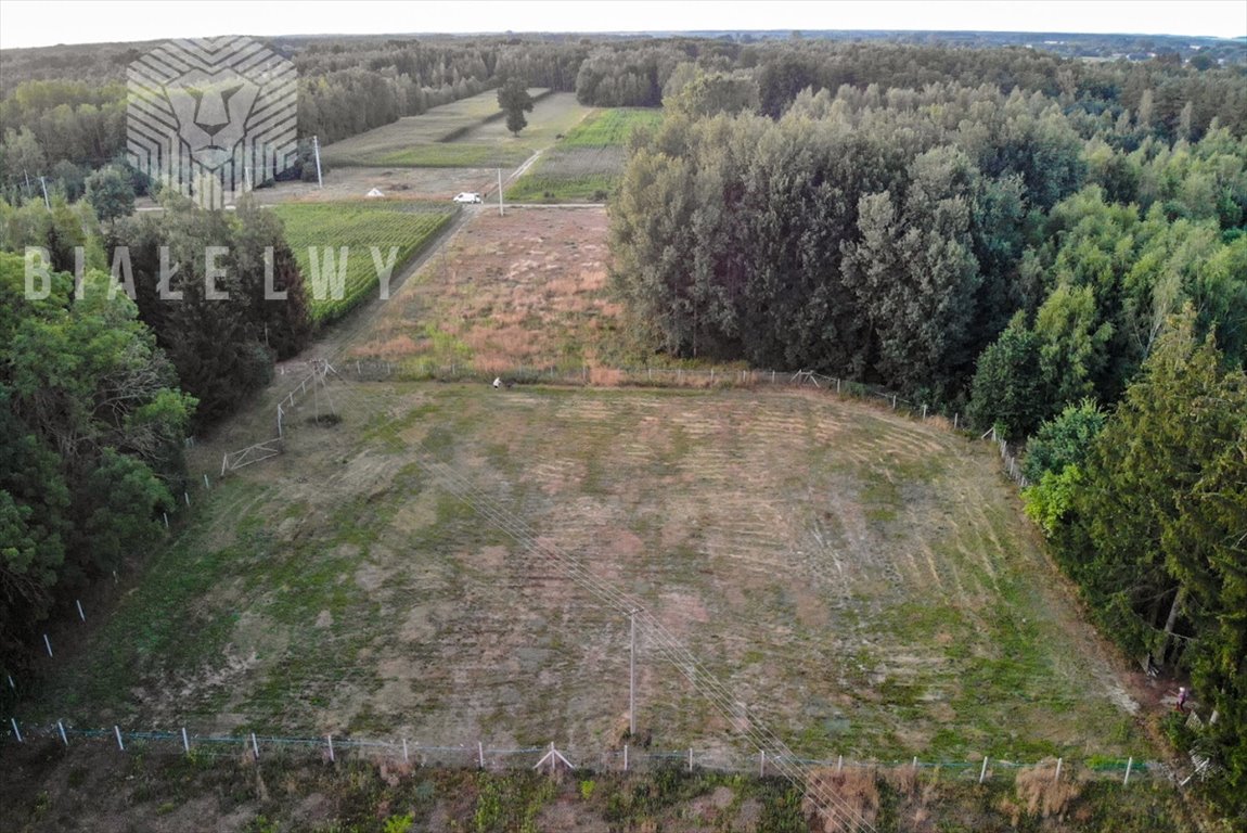 Działka rolna na sprzedaż Baraki  3 000m2 Foto 2