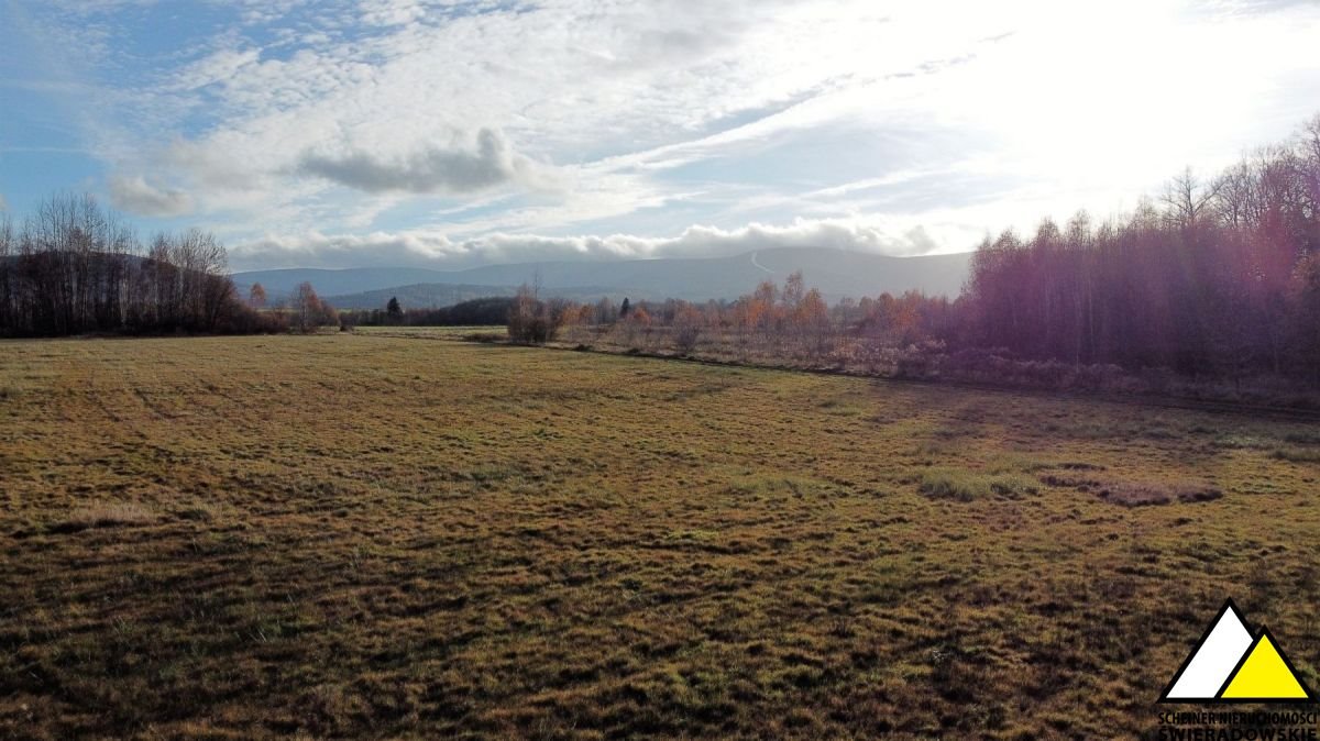 Działka budowlana na sprzedaż Wolimierz  6 000m2 Foto 13