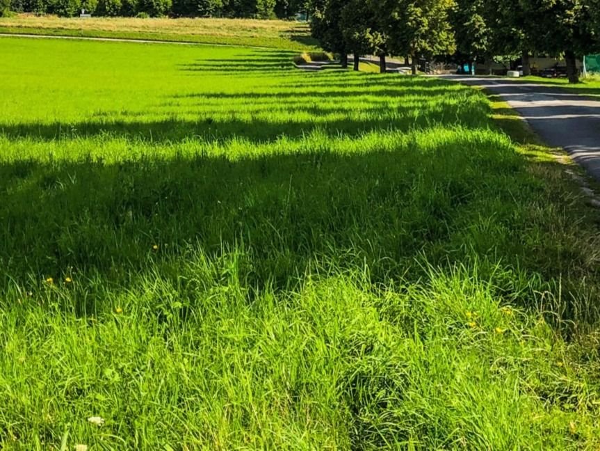 Działka budowlana na sprzedaż Kowalowce  1 000m2 Foto 1