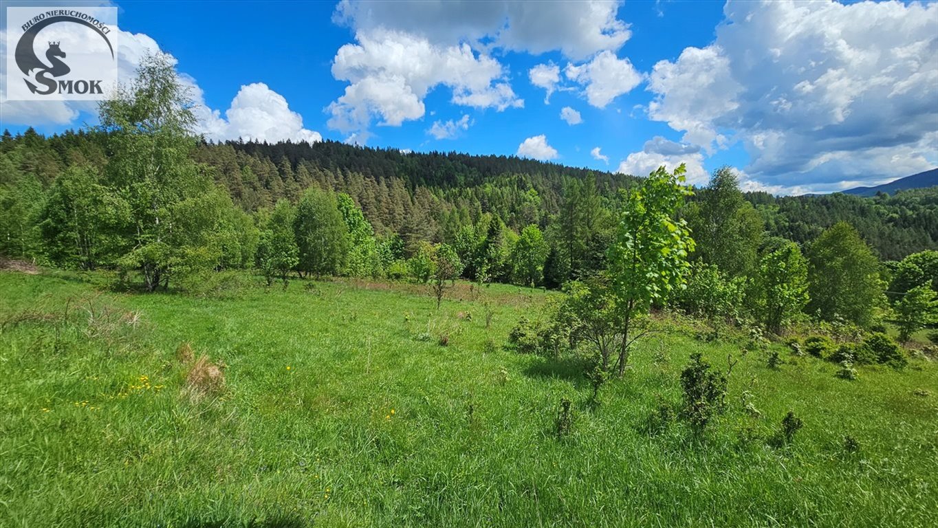 Działka budowlana na sprzedaż Jaworskie  3 250m2 Foto 6