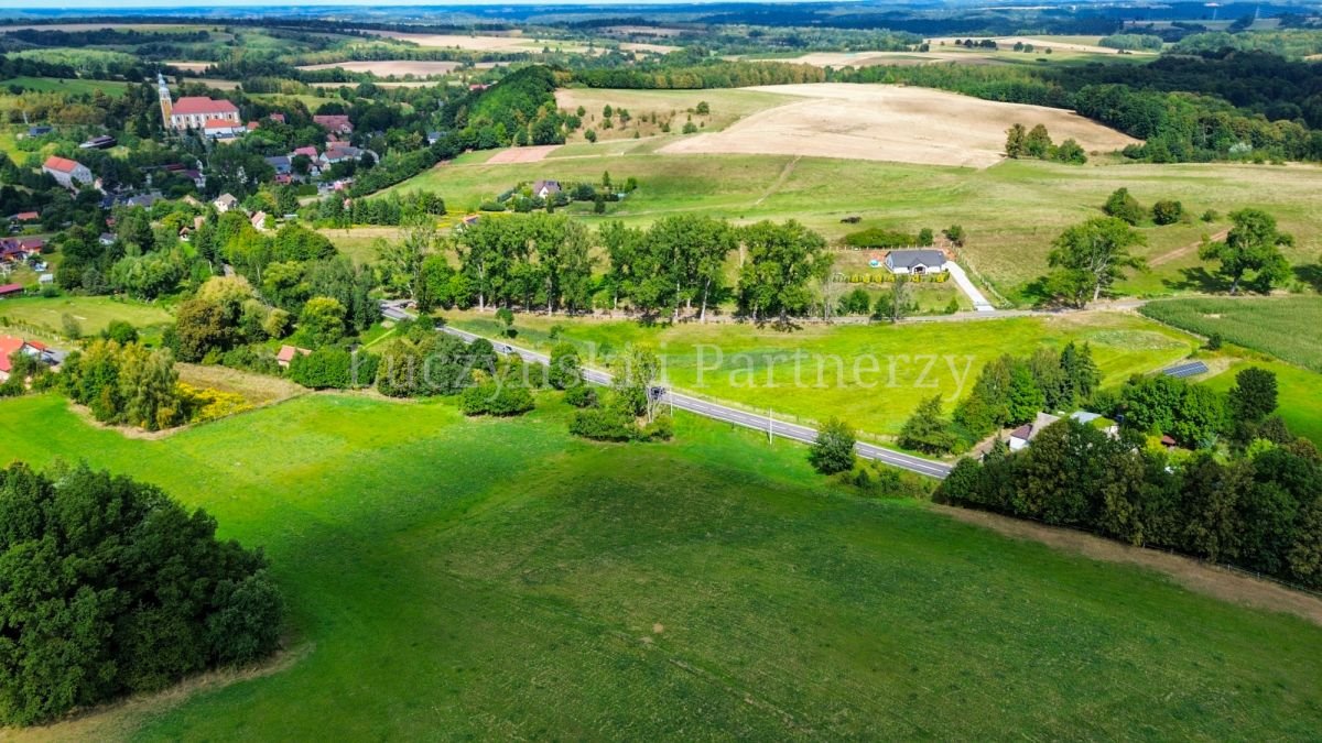 Zapraszam do zakupu działki 11 700 m² z warunkami zabudowy Pławna Górna  11 200m2 Foto 1