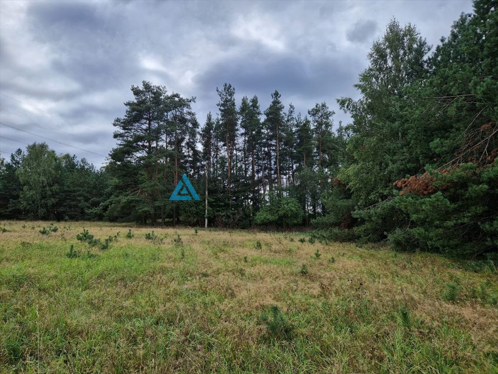 Działka rolna na sprzedaż Skorzewo  53 000m2 Foto 3