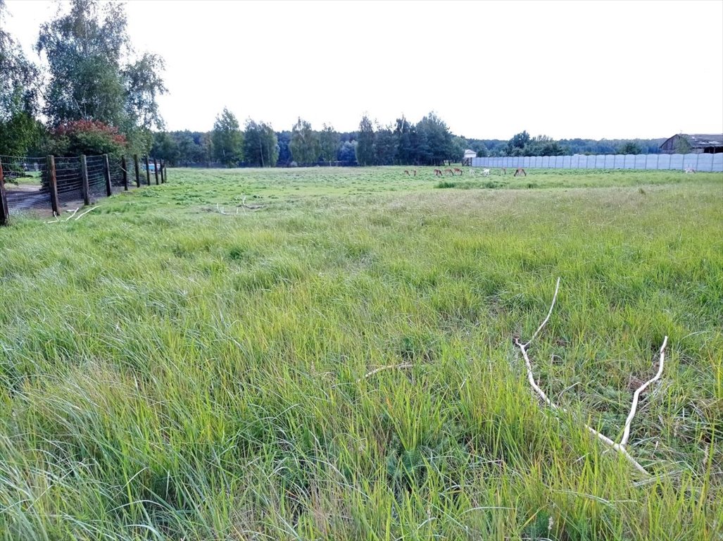 Działka budowlana na sprzedaż Bolesławiec, Bolesławiec  1 492m2 Foto 7