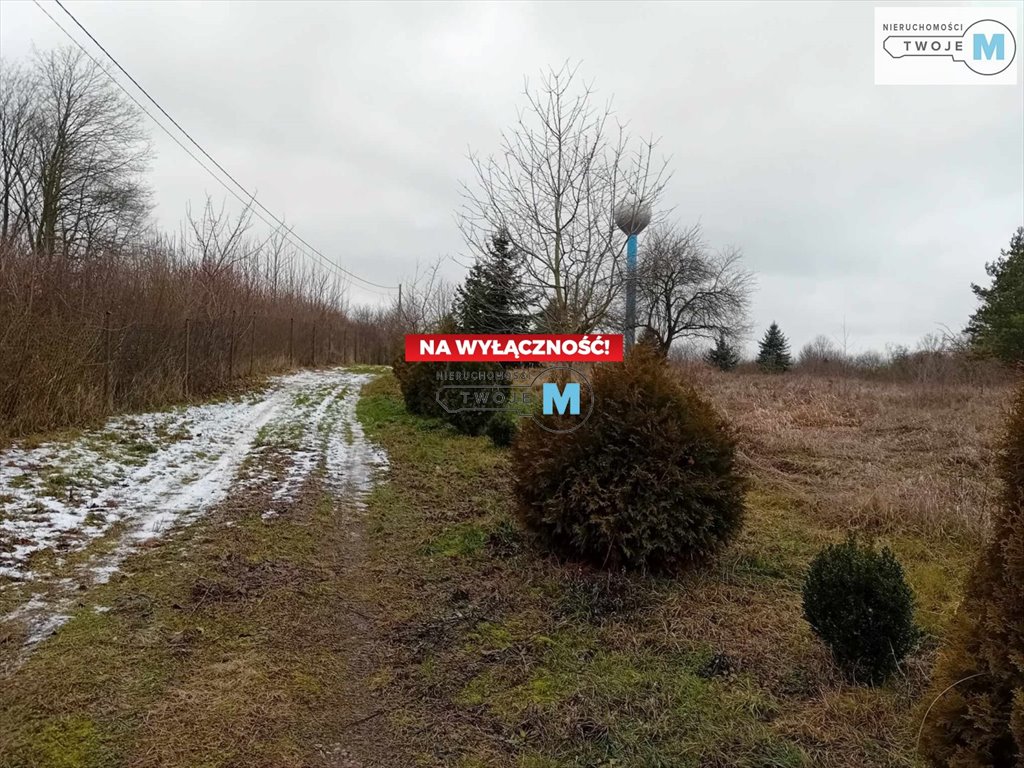 Działka inna na sprzedaż Pierzchnica, Pierzchnianka  6 500m2 Foto 14